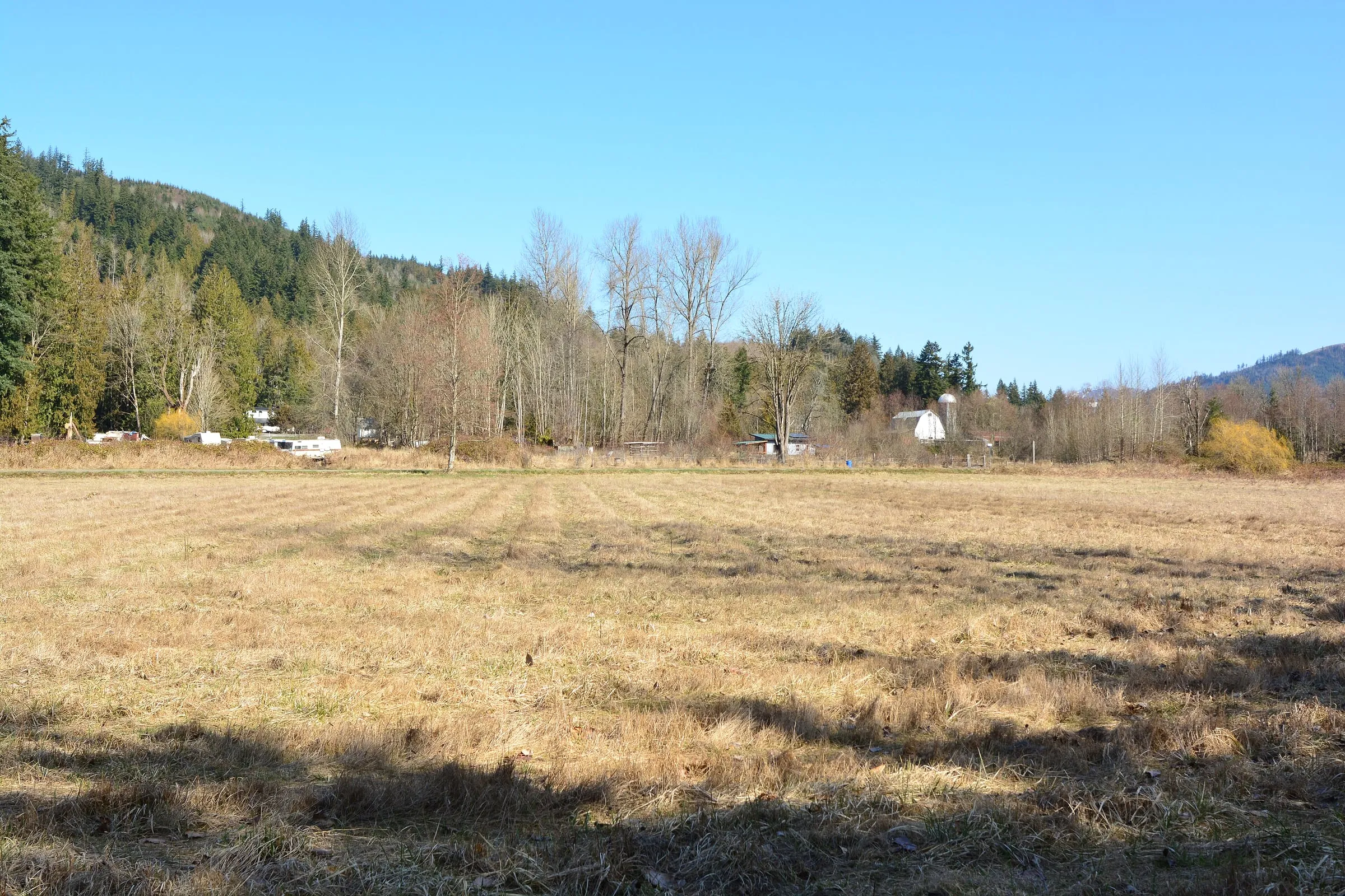 Old homestead hayfield at Deming Homestead Eagle Park looking across the Nooksack valley toward farm buildings and forested hills