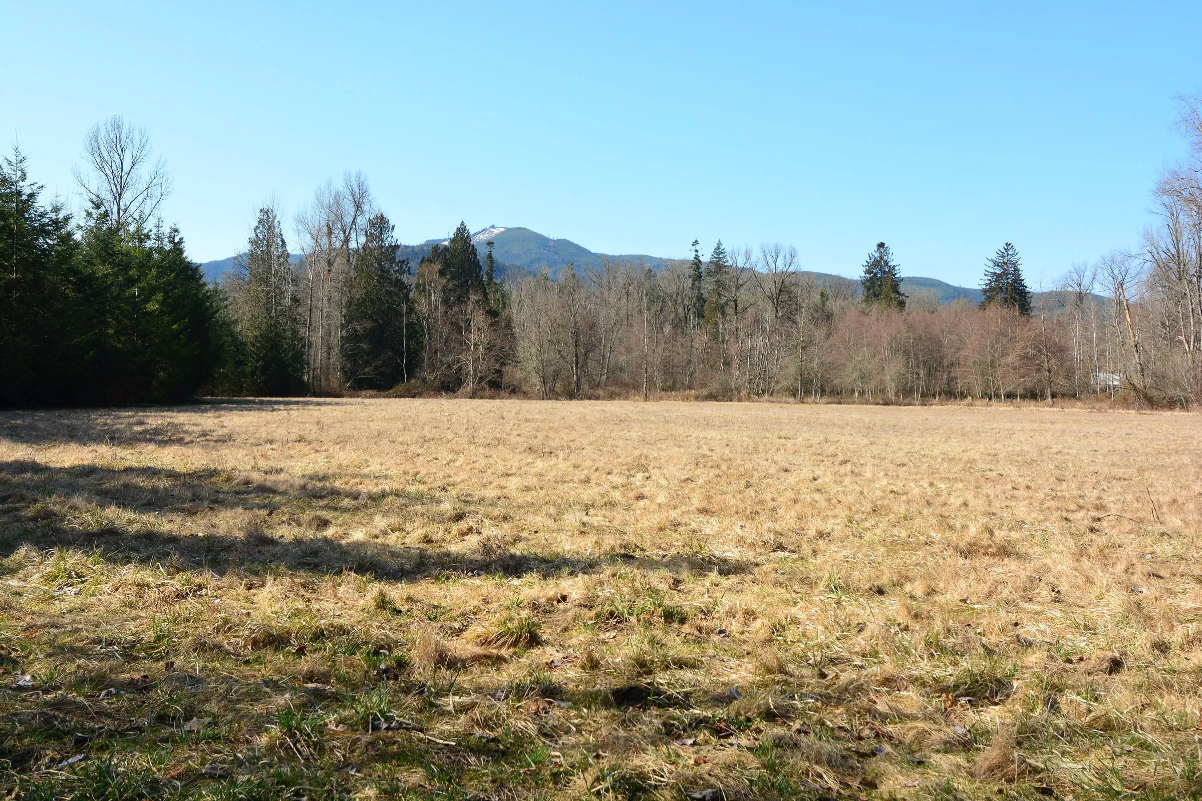 Open floodplain meadow at Deming Homestead Eagle Park with a snow-dusted foothill behind the treeline