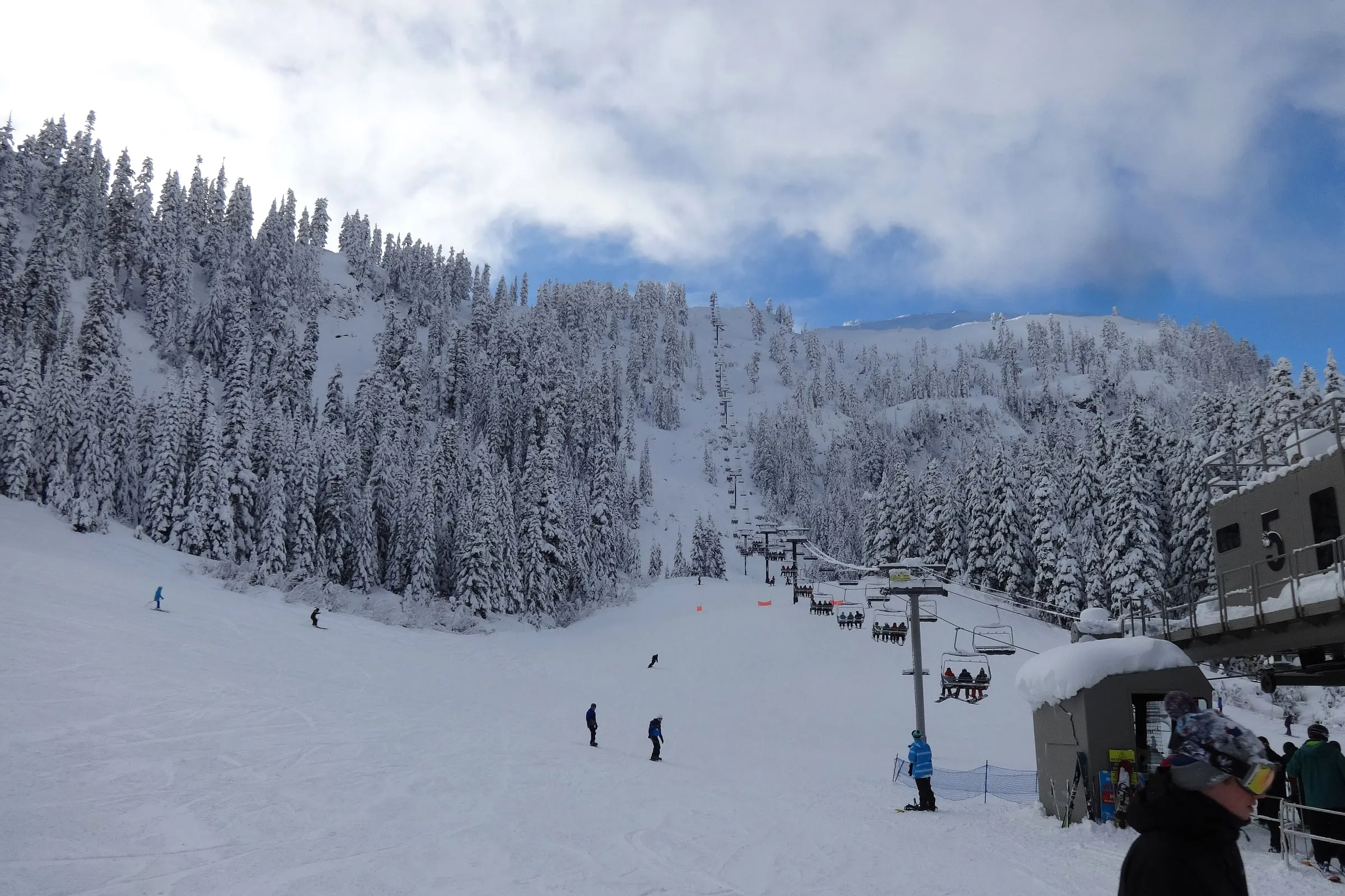 Chair 5 rising over a snow-covered run at Mt. Baker Ski Area