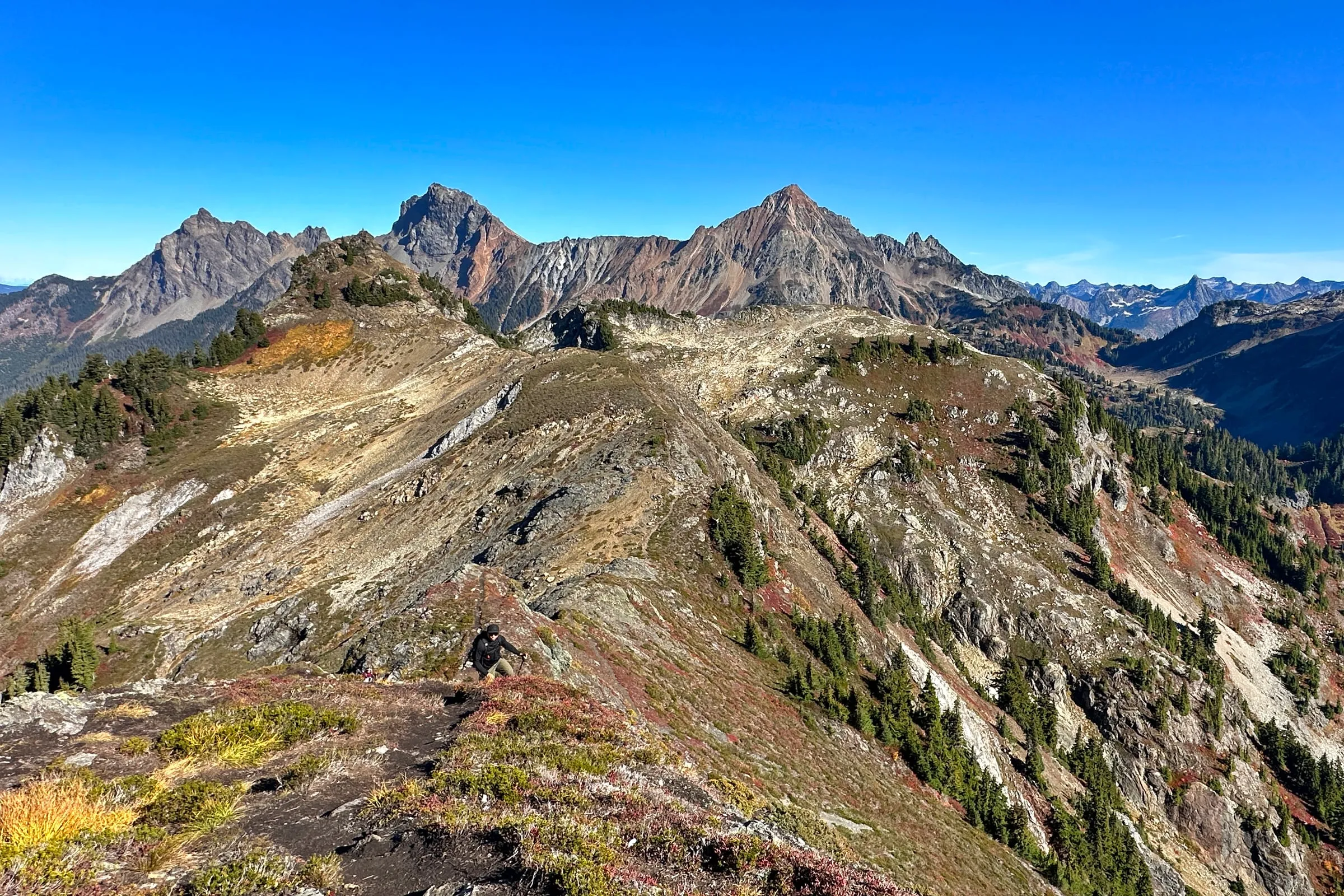 Tomyhoi Peak and the Border Peaks seen looking north from Yellow Aster Butte